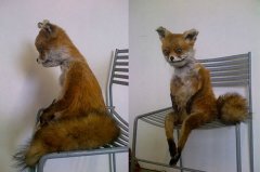 中医治疗便秘有什么高招吗?