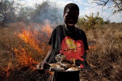 非洲人都爱吃老鼠 真难以接受